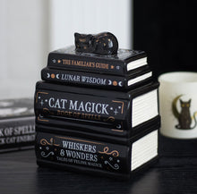Cargar imagen en el visor de la galería, QUEMADOR LIBROS GATO
